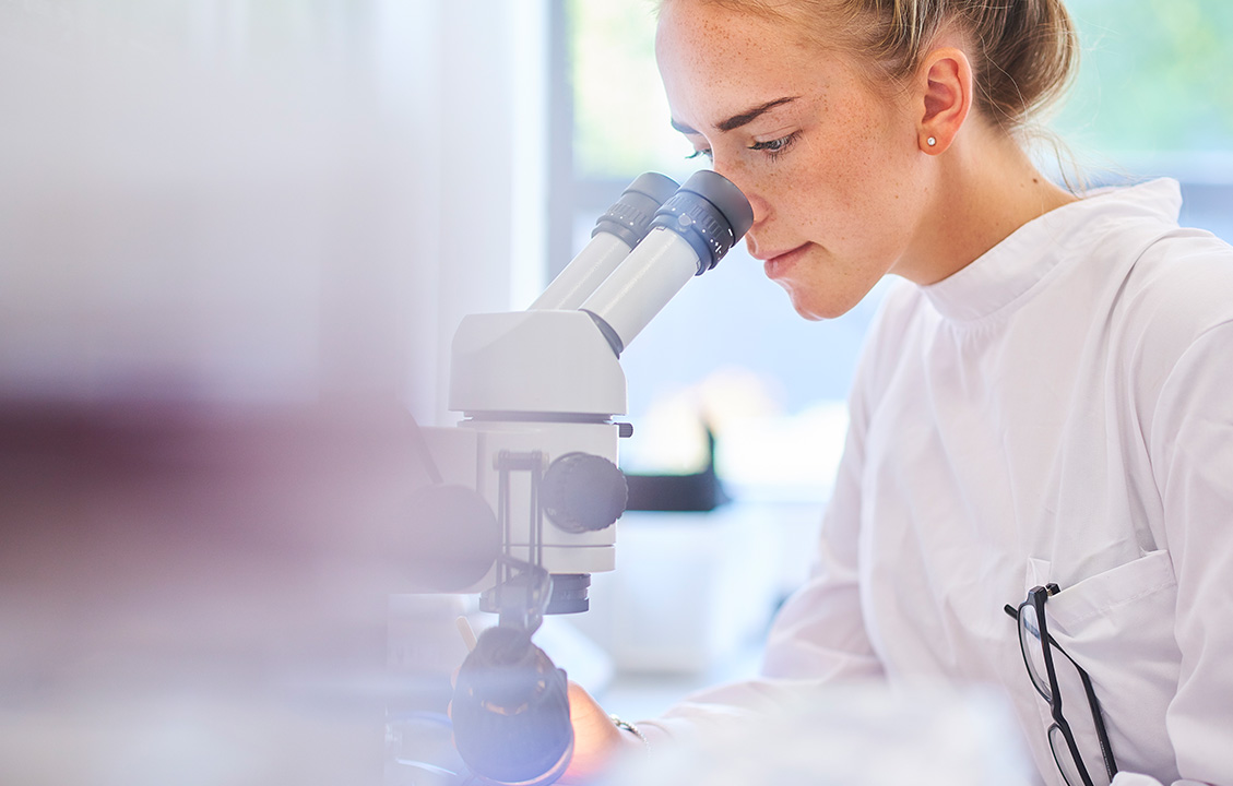 Forschung - Titelbild