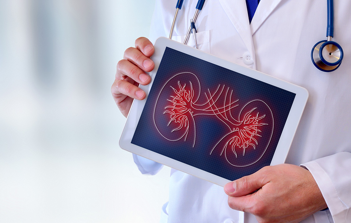 Zentrum für Patienten mit seltenen Erkrankungen der Nieren und der ableitenden Harnwege - Titelbild